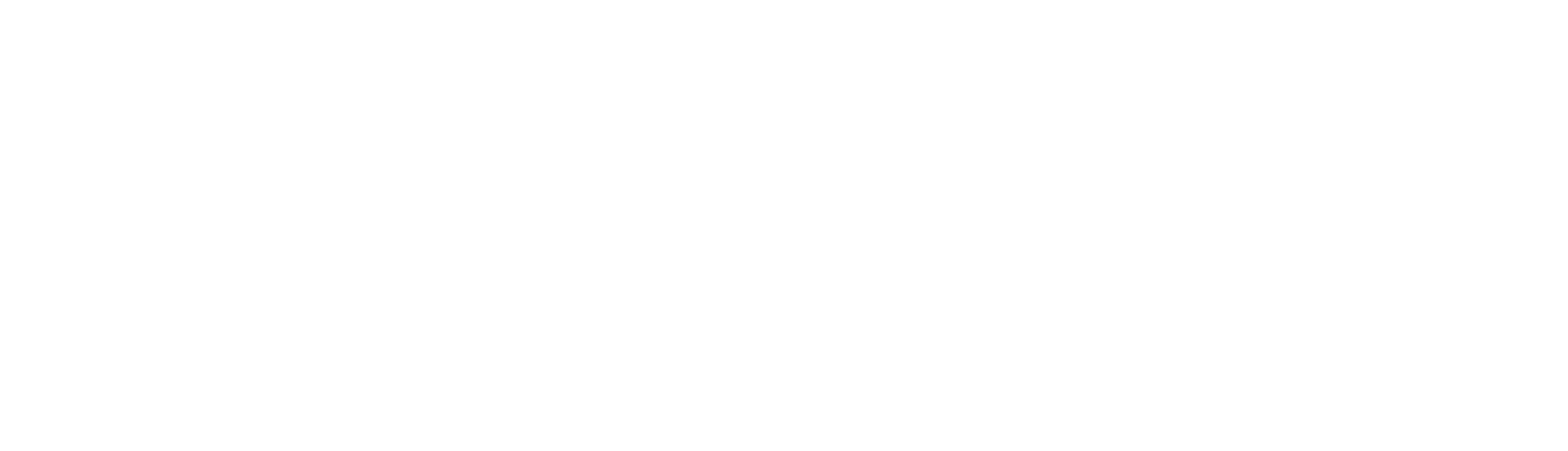 Quantir Analytics